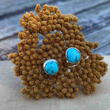 NEW Harmony Turquoise Post Earring #2